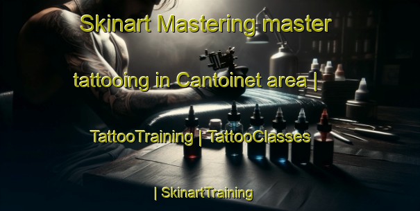 Skinart Mastering master tattooing in Cantoinet area | TattooTraining | TattooClasses | SkinartTraining-France